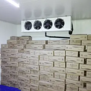 Hành Tây lạnh kho coolroom frigde phòng phòng lạnh cho nông nghiệp nông nghiệp