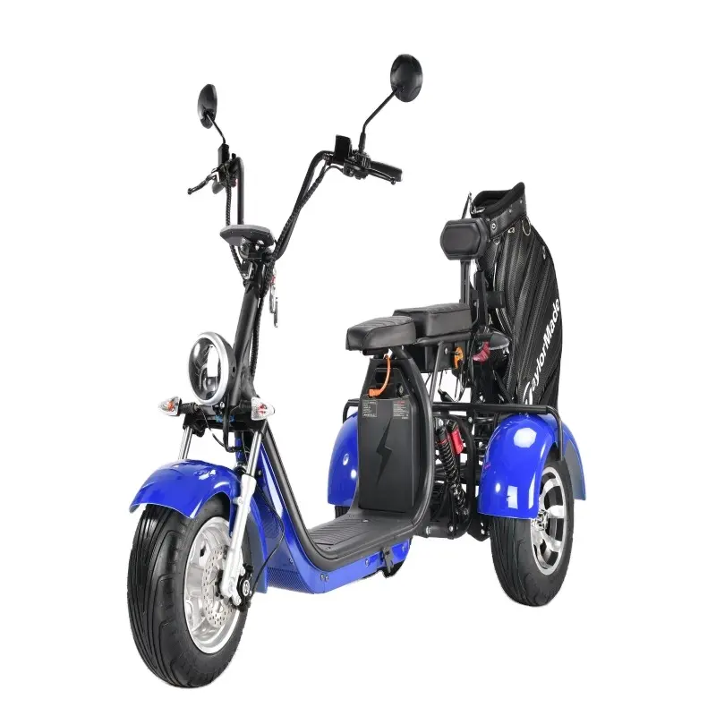 Entrepôt CEE UE chariots de golf de haute qualité à 3 roues 2000W CEE batterie au lithium scooters électriques Cityccoco pour adultes