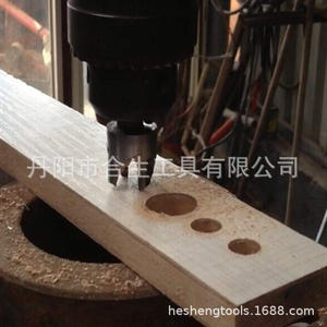 Forets à bois de type griffe Mr Drill, 6, 10, 13, 16 mm, acier au carbone, foret Forstner pour le travail du bois - Product Image 4