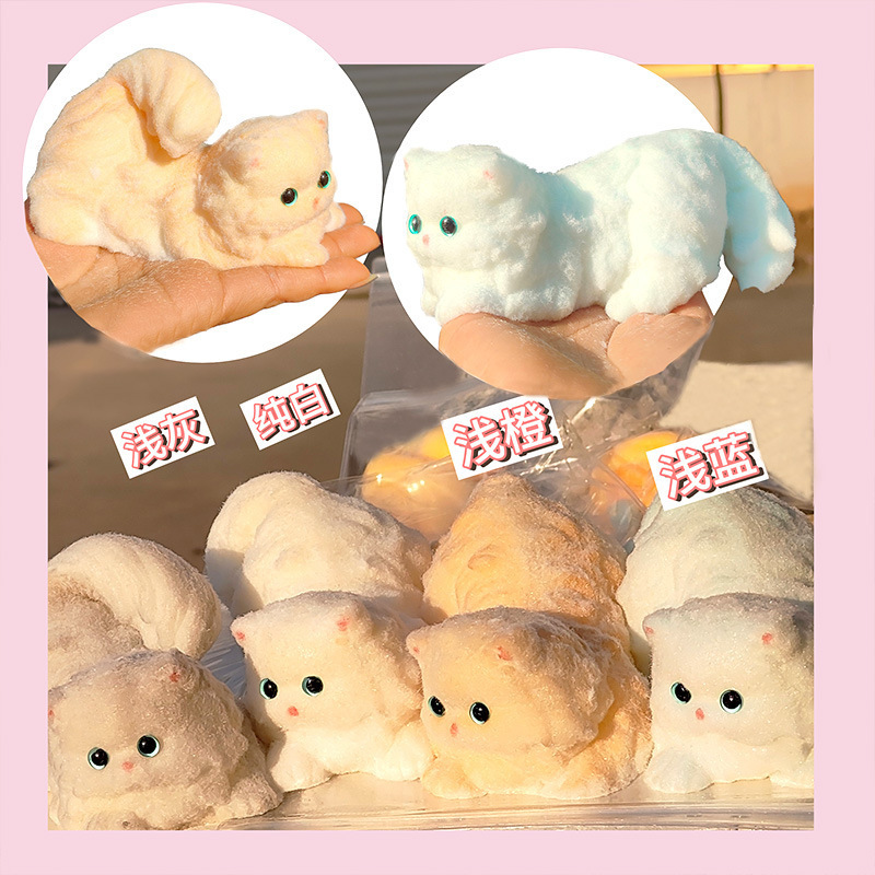 แมวเปอร์เซีย [สีสุ่ม]