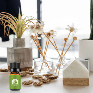 Huile parfumée concentrée à l'odeur <span class=keywords><strong>de</strong></span> pomme, longue durée, en <span class=keywords><strong>vente</strong></span> flash, pour la fabrication <span class=keywords><strong>de</strong></span> savon, <span class=keywords><strong>de</strong></span> détergent et <span class=keywords><strong>de</strong></span> gel douche - Product Image 4