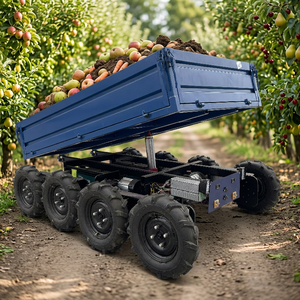 Mini Dumper Elettrico Compatto con Telecomando, Veicolo da Trasporto Fuoristrada per Fattoria, Carrello Ribaltabile Idraulico per Serra - Product Image 4