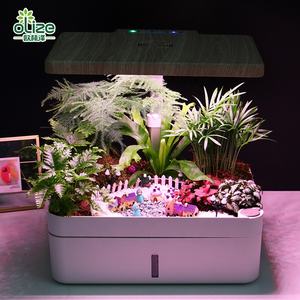 N-oliz — jardinières légumes d'intérieur en fibre de verre, pot de fleurs en plastique avec arrosage automatique, plantes artificielles, Z202 - Product Image 2