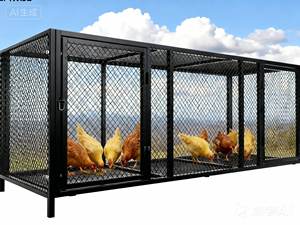Pollaio e Trasportino in Metallo per Interni di Grandi Dimensioni con Vassoio in Plastica, Modello Solido per l'Allevamento di Piccioni, Anatre e Oche - Product Image 2