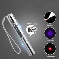 Laser Kucing Interaktif Mainan Lucu Anak Kucing Mengejar Mainan Multiwarna USB Isi Ulang Pena Laser Kucing Laser Mainan