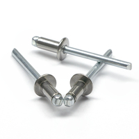 Rivets aveugles fraisés en acier inoxydable 3,2 mm 4,0 mm 4,8 mm résistants à la corrosion pour la fixation de tôles