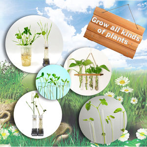 Kits de culture de plantes pour laboratoire éducatif STEM avec logo personnalisé pour un usage domestique, cadeaux d'anniversaire pour enfants de 5 à 13 ans - Product Image 2