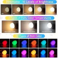 Ampoule LED rechargeable à piles avec télécommande, réglable, détachable, 3 minuteries, sans fil, pour applique murale