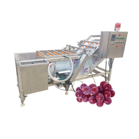 Commerciële groentewasmachine, aardappelbladwasmachine