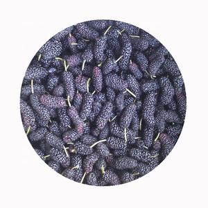 Frutta di gelso biologico alla rinfusa IQF congelato ad un prezzo economico - Product Image 2