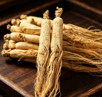 Racine de ginseng du Jilin pour les fabricants d'aliments santé, les distributeurs d'herbes et les pharmacies de médecine traditionnelle chinoise