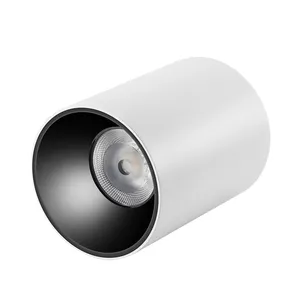 Ana D IP65 serisi LED Downlight ETL CE SAA listelenen 15W 20W 30W 40W 50W 60W 90W kısılabilir beyaz gövde siyah gövde