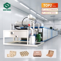 Eierenbakjesmachine voor 1000-3000 stuks/uur, productielijn voor het vormen van papierpulp