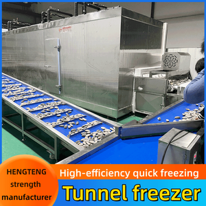 Bào ngư hải sản, không xương gà feetquick-đông lạnh và băng bao phủ sản xuất linecod fillet đơn đóng băng máy - Product Image 6