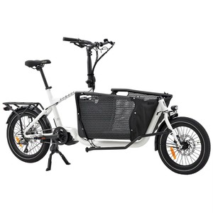 Bicicleta de Carga Urbana Familiar con Cesta, Cola Larga, 250W Sin Escobillas, 36V, Cuadro de Aluminio, Mini, Disponible en Nuestro Stock - Product Image 1