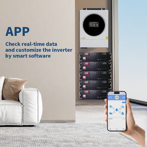 4KW 24V ハイブリッドソーラーインバーター 230V オンオフグリッド 家庭用 高効率 エネルギー貯蔵変換電源システム - Product Image 6