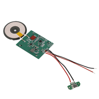 Rise Innovation Module de charge sans fil rapide EPP 5V/9V/12V/24V MPP charge magnétique PCBA OTP/OPV protégé électrique PD pour PC