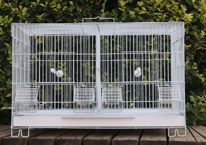 Luxury Ornamental <strong>Bird</strong> <strong>Cage</strong> with New Clasp Large Space and Partition Silk <strong>Bird</strong> Breeding Carrier in Plastic Tray Box Packing - Product Image 5