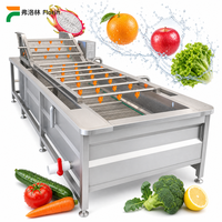 Commerciële industriële fruitwasser, bladgroentewasser, bubbelwasser, kruiden-, tomaten-, pitaya- en fruitmachine