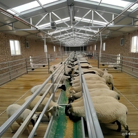 Structure en acier préfabriquée sur mesure de haute qualité à prix compétitifs pour l'élevage de porcs, bovins, chèvres et volailles