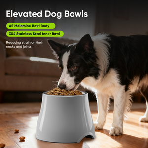 Vente en gros de gamelles pour animaux de compagnie en mélamine de qualité supérieure, design moderne, taille M, robustes, avec fond antidérapant pour chiens - Product Image 5