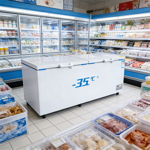 -35 ° Congelador de Atún de Temperatura Ultra Baja para Almacenamiento de Alimentos de Aguas Profundas y Sushi en Restaurantes y Hoteles - Product Image 1