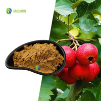 SLBIO Hoogwaardig Voedingsmiddelkwaliteit Gedroogd Hawthorn Fruitpoeder Flavonoïde