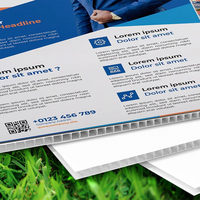 Panneau d'affichage personnalisé en PVC pour cour et pelouse Promotion publicitaire Panneau d'affichage personnalisé pour signalisation de cour et pelouse