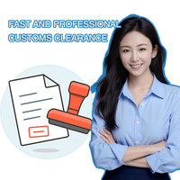 Agente de Envíos, Transitario, Servicios de Logística, Envío DDP por Alibaba-Express