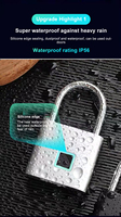 Schwarz Silber USB wiederauf lad bares Türschloss Keyless Fingerprint Smart Vorhänge schloss Quick Unlock Zink legierung Metall Selbst entwickelnder Chip