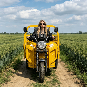 2026 BEIHAI Three Wheeled Supercar Cheap Mini 60V 2000W Scooter 3 Wheel <b>Passenger</b> Tricycles for Adults - Product Image 1