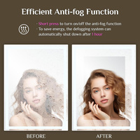 3 Light Colours Led Mirror Dimmable Tempered Glass Explosion Protection Touch Switch Memory Function Anti Fog Bathroom Mirror