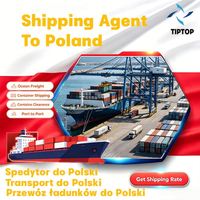 Agente de Transporte Marítimo en Polonia, Puerto de Szczecin, Transporte, Dropshipping, Carga Aérea, Contenedor, Envío Exprés, UPS, DDP, Envío Aéreo