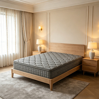 Matelas hybride durable de 10 pouces à ressorts ensachés, isolation de mouvement moderne, silencieux, idéal pour chambre à coucher, chambre d'amis, hôtel
