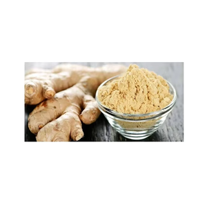 Poudre de gingembre naturel pur 100% du fabricant indien Poudre de gingembre séchée déshydratée pour les épices et les assaisonnements - Product Image 4