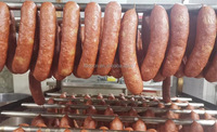 Nouvelle Conception Machine Industrielle de Séchage et de Fumage du Porc, Fumoir à Saucisses Multifonctionnel avec Fonction Vapeur