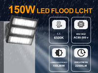 WERISE - Reflector LED Exterior Impermeable de Larga Duración, Superbrillante, con Chip SMD, para Canchas Deportivas y Estacionamientos