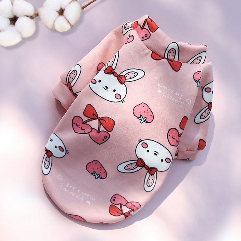 Pink Rabbits
