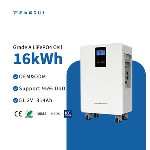 Batería Solar Certificada CE UN38.3 ROHS de 16 kWh, 51.2 V, 314 Ah, 80%~95% DoD Ajustable, Más de 6000 Ciclos, para Uso Doméstico - Product Image 1