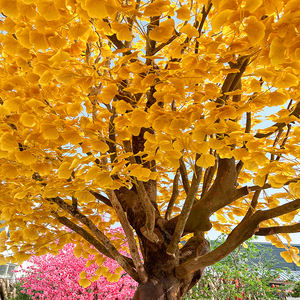 محاكاة شجرة الجنكة الراقية ، النباتات الخضراء ، الأشجار المزيفة ، زخرفة النوافذ ، تصميم المناظر الطبيعية الداخلية والخارجية البسيط - Product Image 5