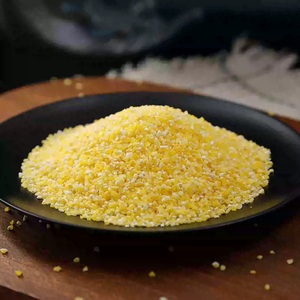 ייצוא תירס שחור ללא גלוטן גרגרי תירס גס זול עבור אפייה ובישול תירס גרגרי תירס פולנטה תירס - Product Image 2