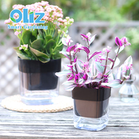 Pots à fleurs en plastique transparent double, forme rectangulaire noire, pour plantes, décoration nordique pour la maison et l'utilisation en jardin