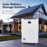 Batterie solaire hybride 16 kWh 51,2 V 314 Ah avec Wi-Fi, 8000 cycles, sans entretien, fonctionnement sécurisé, empilable