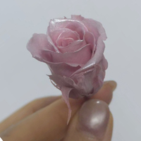 Roses éternelles miniatures, rose nacré, 1-2 cm, 24 pièces, 21 pièces 2-3 cm, qualité supérieure, roses éternelles multicolores, cadeau de fleurs naturelles pour elle