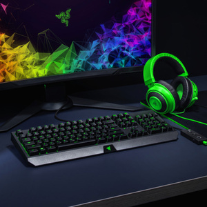 Clavier de jeu mécanique Blackwidow Essential : interrupteurs verts - tactiles &amp;   Claviers Blackwidow Essential avec rétroéclairage LED - Product Image 6