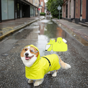 Logo personnalisé Accessoires <span class=keywords><strong>pour</strong></span> chiens Vestes en cuir d'hiver et d'été Robes et manteaux <span class=keywords><strong>de</strong></span> <span class=keywords><strong>pluie</strong></span> <span class=keywords><strong>pour</strong></span> teckel <span class=keywords><strong>Whippet</strong></span> et lévrier - Product Image 3