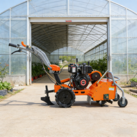 Motoculteur diesel 5 CV économique et durable pour l'agriculture, idéal pour les petites exploitations agricoles