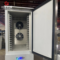 Armoire de fermentation et de maturation de pâte à pain et à croissants, 18 plateaux, pour la fabrication de pain et de pizzas