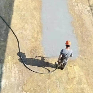 เคลือบสเปรย์โพลียูเรีย<span class=keywords><strong>บน</strong></span><span class=keywords><strong>หลังคา</strong></span>อุโมงค์เพื่อการใช้งานที่กันน้ำและไม่ลื่น - Product Image 6