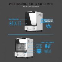 Stérilisateur professionnel haute température pour outils de manucure - 250 ℃   Boîte de stérilisation à chaleur sèche pour outils de salon - Mini machine de manucure
